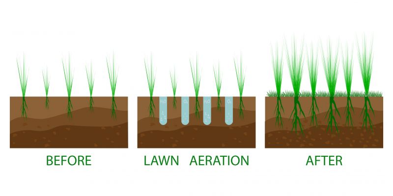 Lawn Aerating
