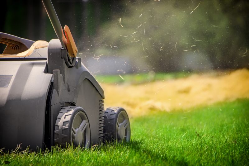 Lawn Aerating