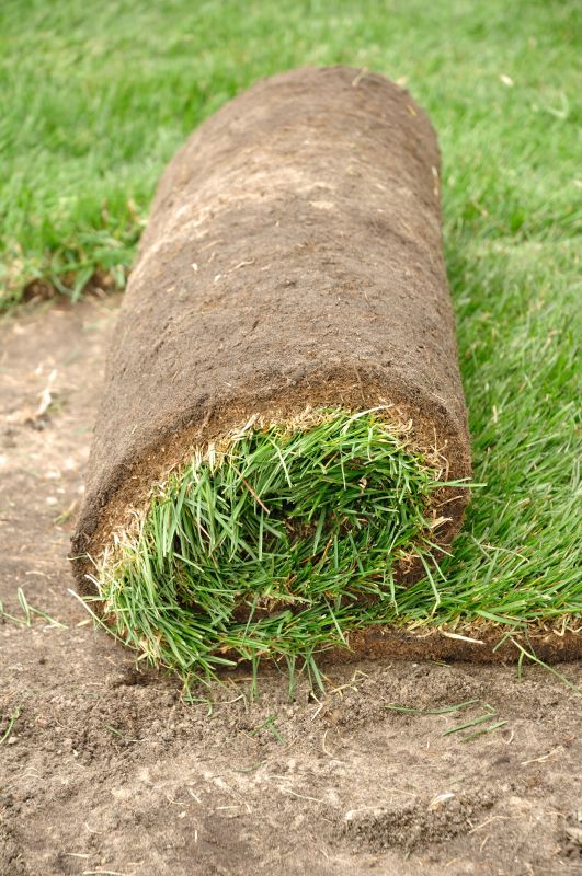 Lawn Sodding in Ventura County, CA