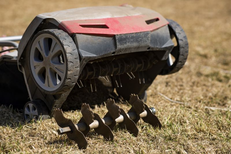 Healthy Lawn Post-Aeration